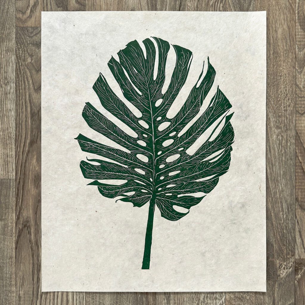 monstera deliciosa 3 6364127e