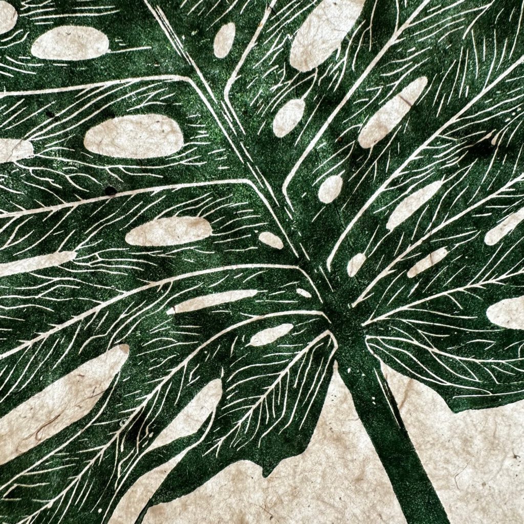 monstera deliciosa 3 63641296