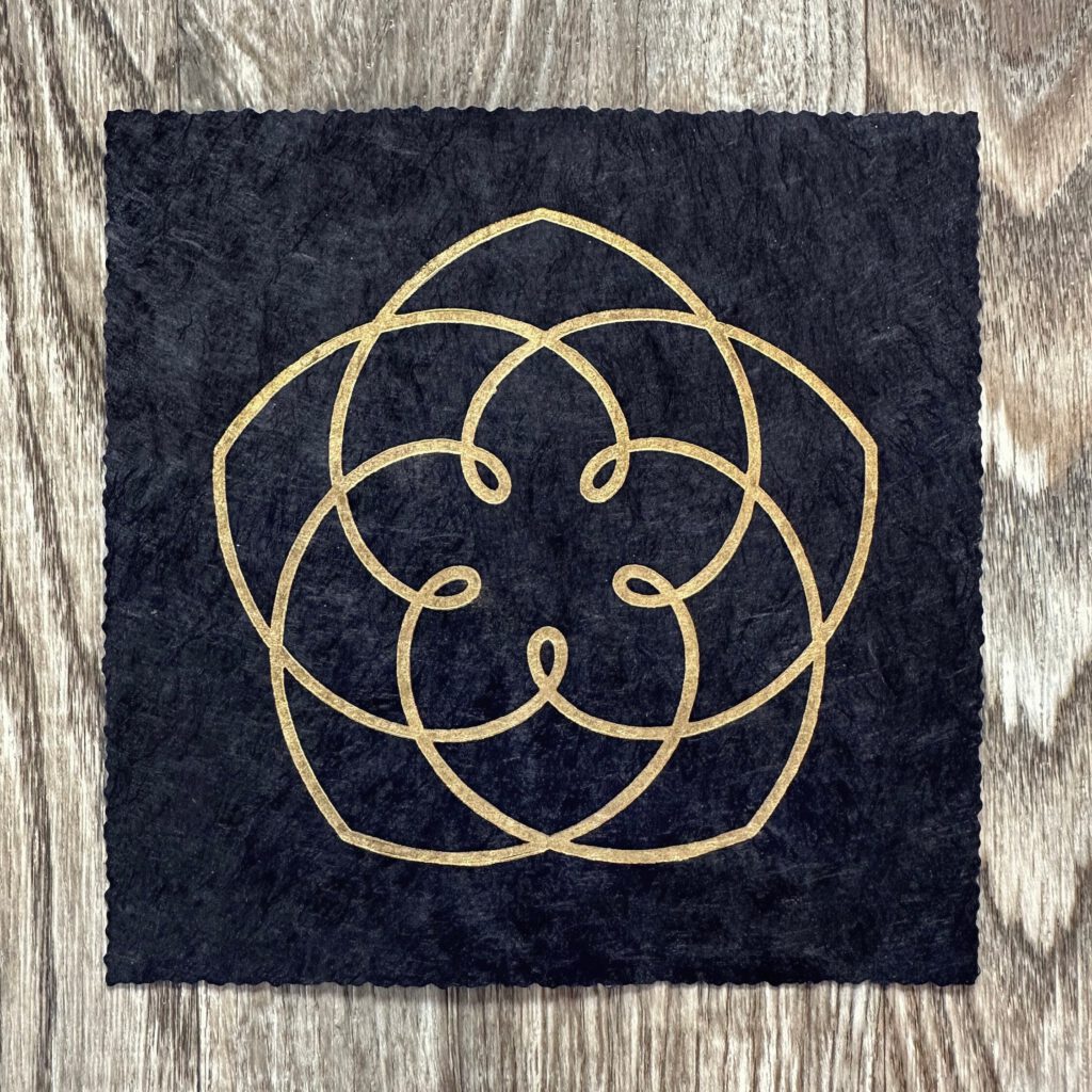 venus flower 4 64063f66