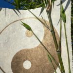 Yin Yang – Bild 7