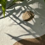 Yin Yang – Bild 8