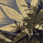 Cannabisblatt – Bild 7