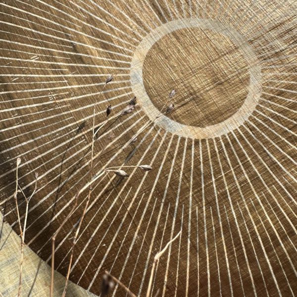 Linoldruck, 24 x 24 cm, Gold auf Papyrus