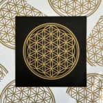 Blume des Lebens I – Bild 12