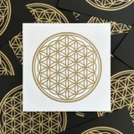 Blume des Lebens I – Bild 12