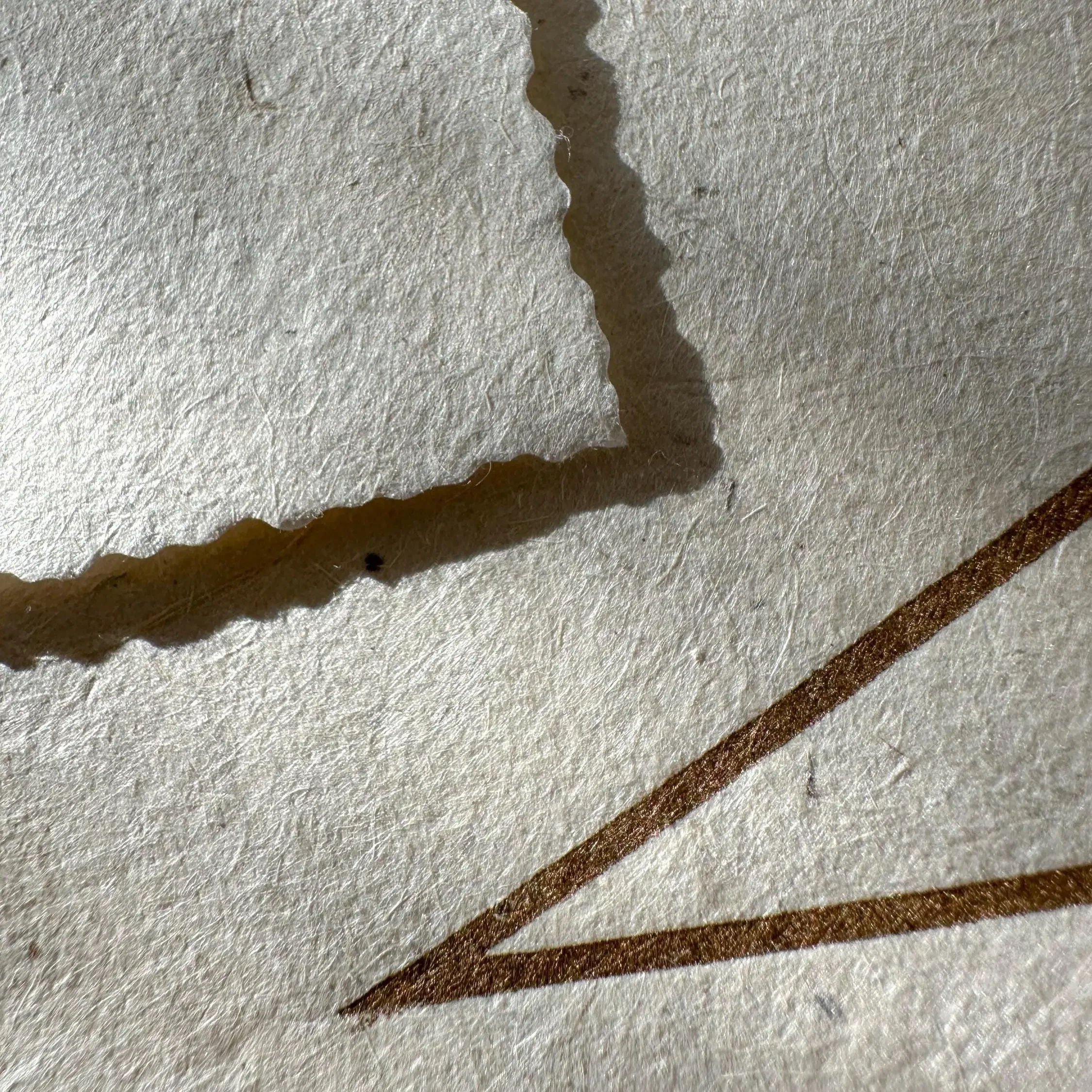 Oktagramm {8/3} – Bild 12