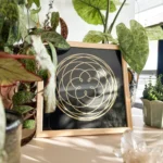 Rose of Venus – gerahmt – Bild 2