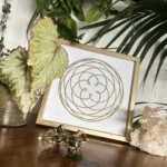 Rose of Venus – gerahmt – Bild 3