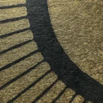 Central Sun – Bild 10