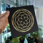 Rose of Venus – Bild 6