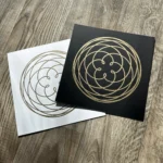 Rose of Venus – Bild 17