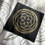 Rose of Venus – Bild 16