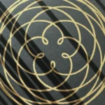 Rose of Venus – Bild 2