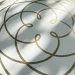 Rose of Venus – Bild 7