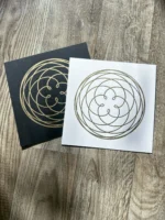 Rose of Venus – Bild 16