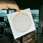 Rose of Venus – Bild 5